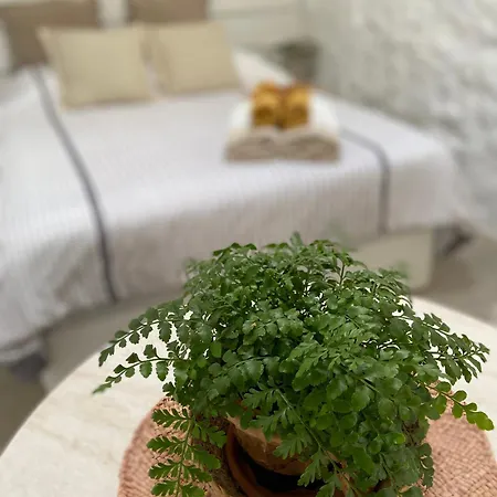 Appartement Casa Kira, *